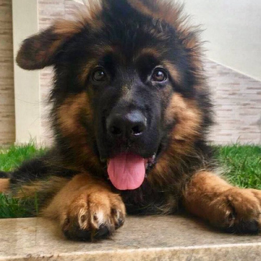 belchior-bebe-800x1000