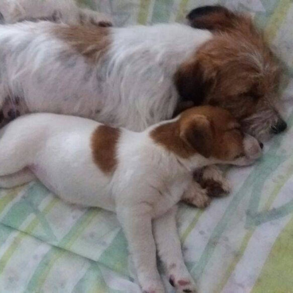 whatsapp-image-2016-12-02-at-22.13.59-1-1032x581